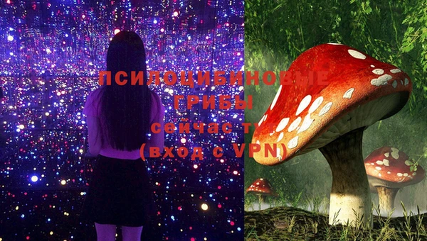амф Белоозёрский