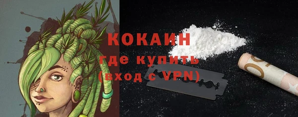 стаф Богородск