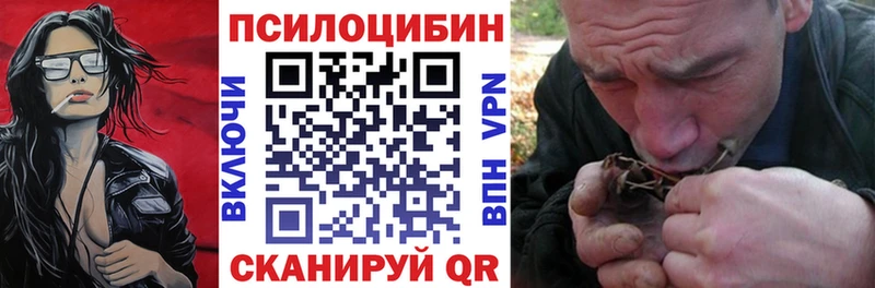 Галлюциногенные грибы Magic Shrooms  Сковородино 